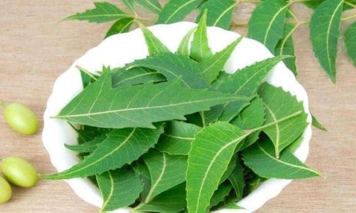 Neem Hair Mask 