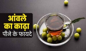 Health Care Tips: सर्दी-जुकाम और गले की खराश का असरदार इलाज, जानें आंवले का काढ़ा बनाने की विधि और फायदे