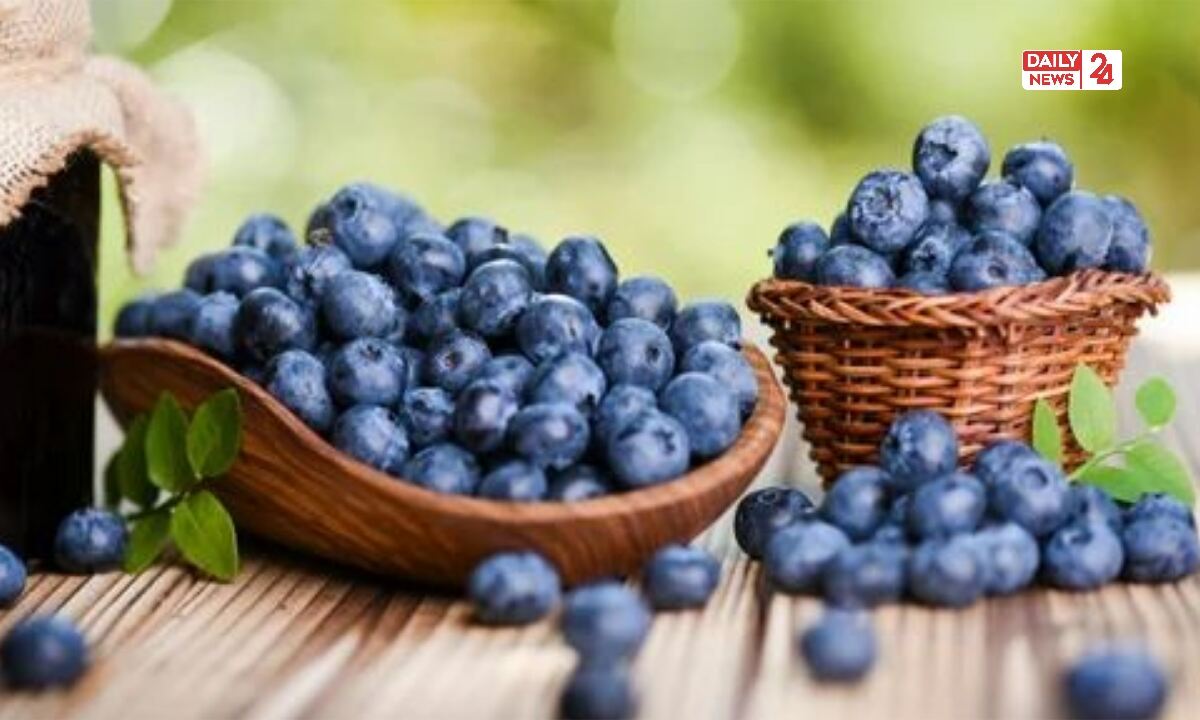 Blueberry Benifits in Hindi 