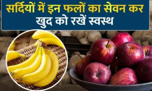 Winter Fruits: सर्दियों में इन फलों का सेवन नाश्ते में करें और पाएं प्राकृतिक चमक और बेहतर स्वास्थ्य