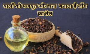 Hair Care: सर्दियों में लौंग के तेल में मिलाकर लगाएं ये खास चीज़ें और पाएं मजबूत और चमकदार बाल