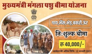 Mukhyamantri Mangla Pashu Bima Yojana: राजस्थान सरकार दे रही है ₹40,000 तक का मुआवजा, तुरंत करें आवेदन