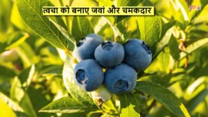 खूबसूरती निखारने से लेकर वजन घटाने तक, जाने Blueberry की हर बाइट आपके स्वास्थ्य के लिए कैसे है वरदान?