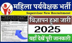 MP Paryavekshak Recruitment 2025: आवेदन प्रक्रिया, पात्रता और परीक्षा की सभी डिटेल्स जानें