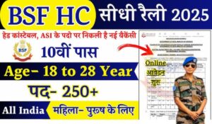 BSF Head Constable Vacancy 2025: 252 पदों पर 12वीं पास के लिए आवेदन, जानें पूरी प्रक्रिया