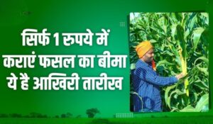 Fasal Suraksha Yojana: फसल खराब होने पर किसानों को मिलेगा मुआवजा, ऑनलाइन आवेदन हुए शुरू