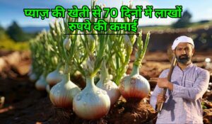 Onion Farming Business: कम निवेश में शुरू करें ये बिजनेस, 70 दिनों में लाखों रुपये की कमाई