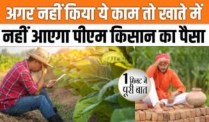 PM Kisan Yojana 19th Installment: अगली किस्त से पहले निपटा लें ये 3 जरूरी काम, जल्द आएंगे खाते में पैसे