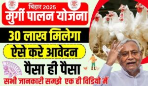 Poultry Farm Loan Yojana 2025: सरकार दे रही ₹9,00,000 और 33% सब्सिडी, अब अपना पोल्ट्री बिजनेस शुरू करें