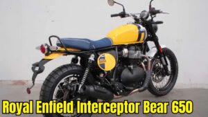 न्यू फीचर्स के साथ Bullet के नाक मे दम करने आ गया Royal Enfield Interceptor Bear 650