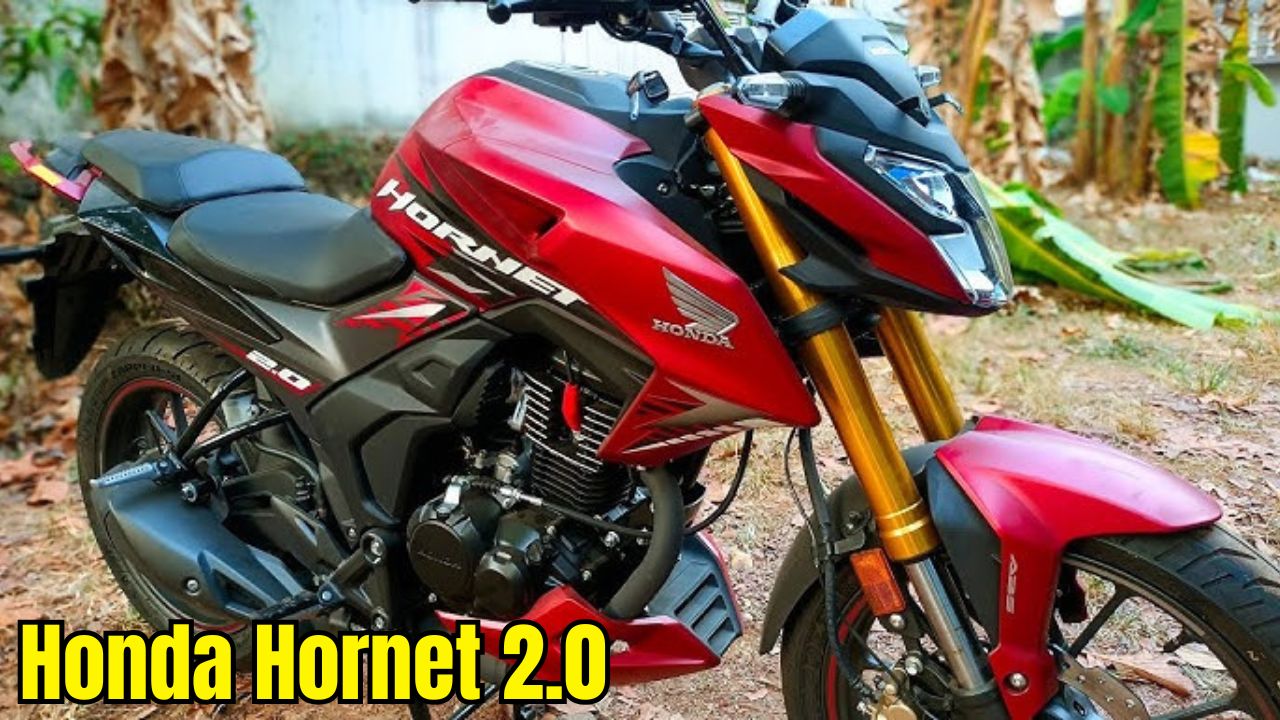 Honda Hornet 2.0