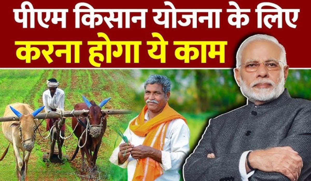 PM Kisan Scheme