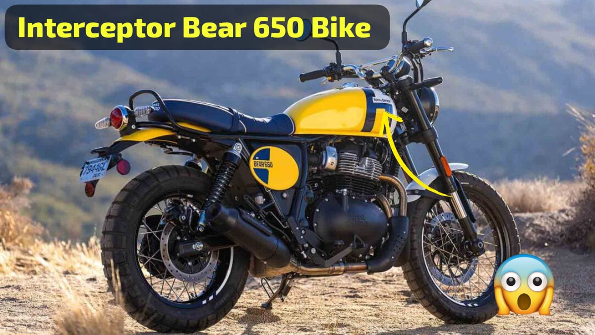 Interceptor Bear 650