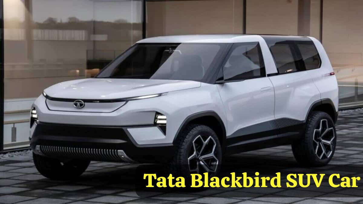 Tata Blackbird