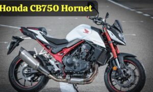 750cc इंजन और 3 सिलेंडर इंजन के साथ मार्केट हिलाने आई, Honda CB750 Hornet स्पोर्ट बाइक