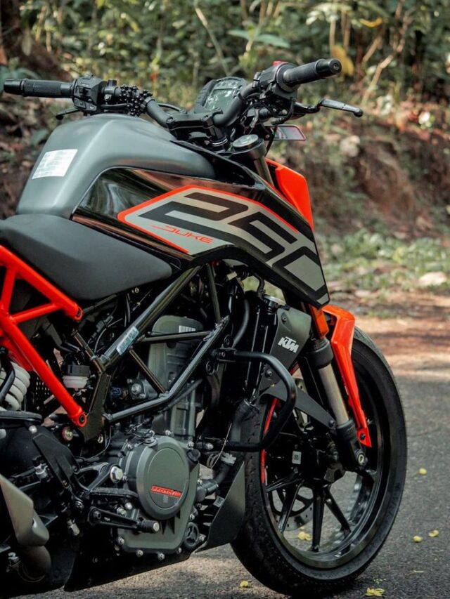 KTM Duke 250 (4)