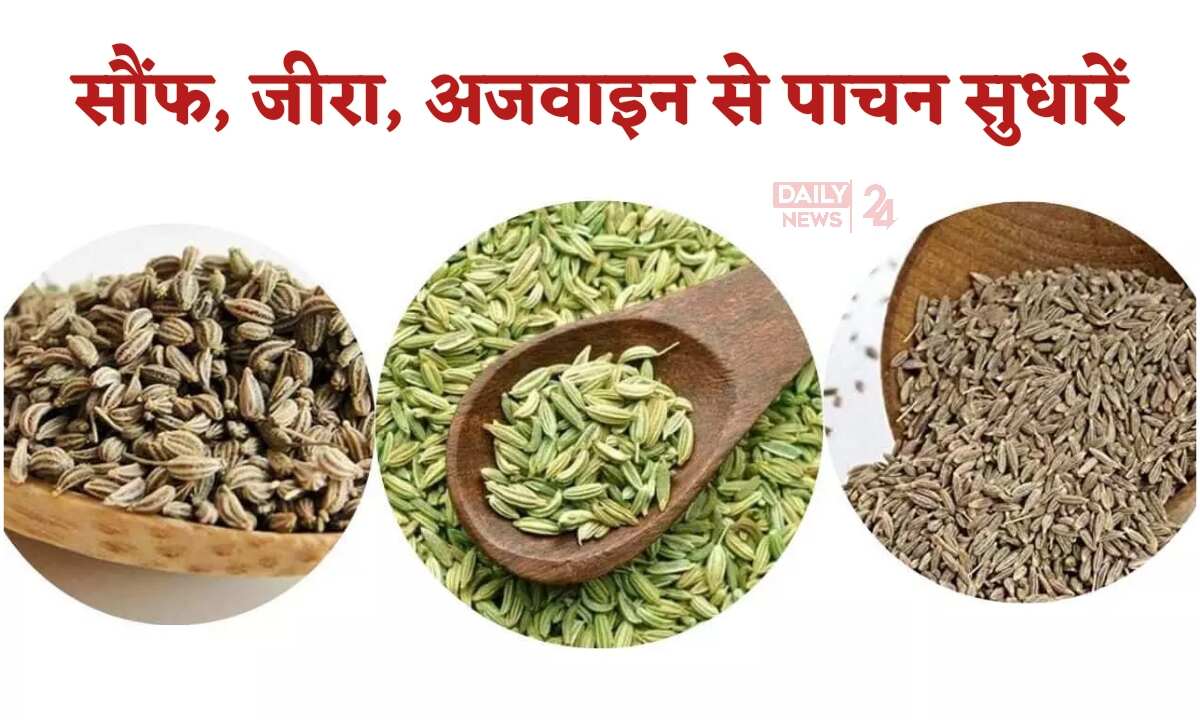 Ajwain, Saunf and Jeera Powder 