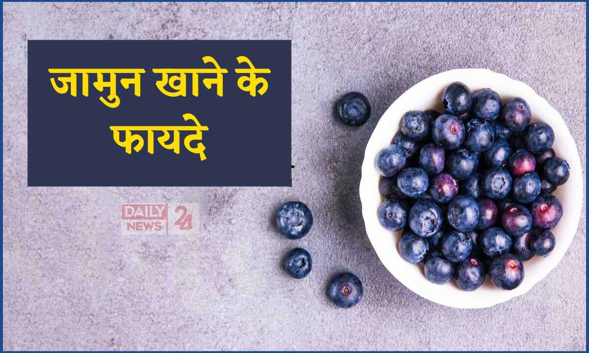 Indian Blueberry