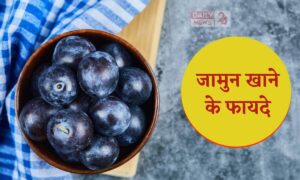 Indian Blueberry: जामुन का जूस कैसे रखता है शरीर को हर बीमारी से दूर?