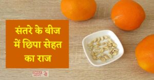 Orange Seeds: संतरे के बीज खाने से सेहत को होगा जबरदस्त फायदा या नुकसान? पूरी जानकारी यहां पढ़ें