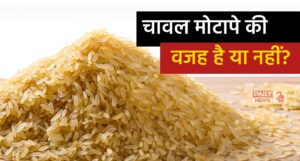 Myth or Fact about Rice