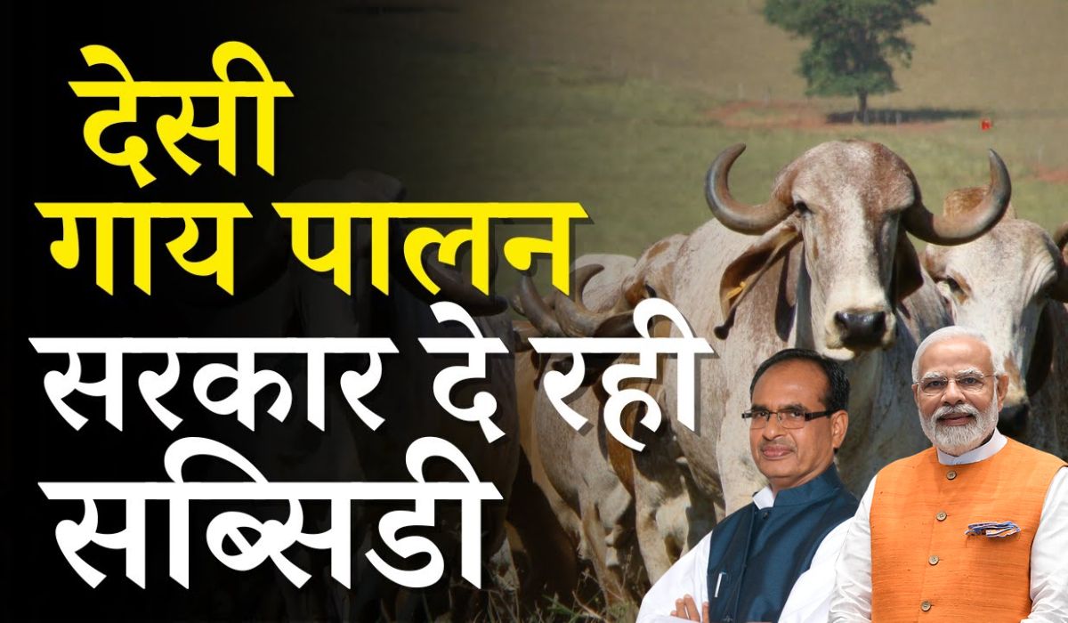 Desi Cow Palan Yojana