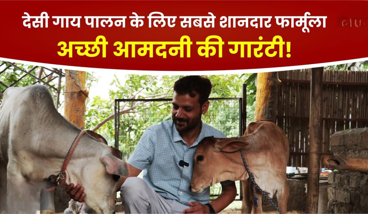 Desi Cow Palan Yojana