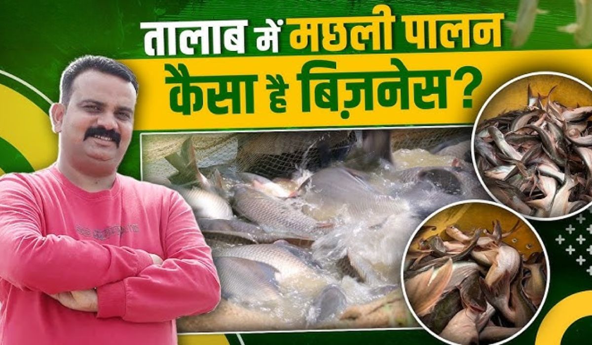 Fish Farming Yojana