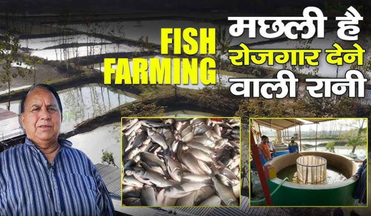 Fish Farming Yojana