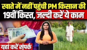 PM Kisan Yojana की 19वीं किस्त नहीं मिली? जानिए तुरंत शिकायत कैसे करें और पैसा पाने का तरीका?