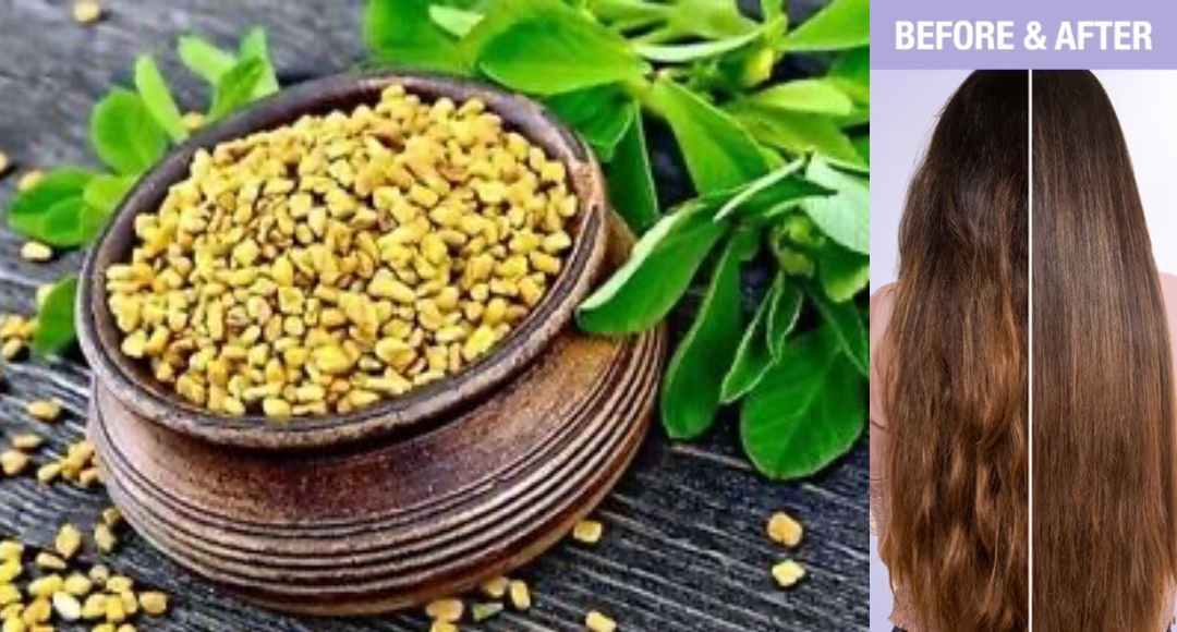 Fenugreek For Hair