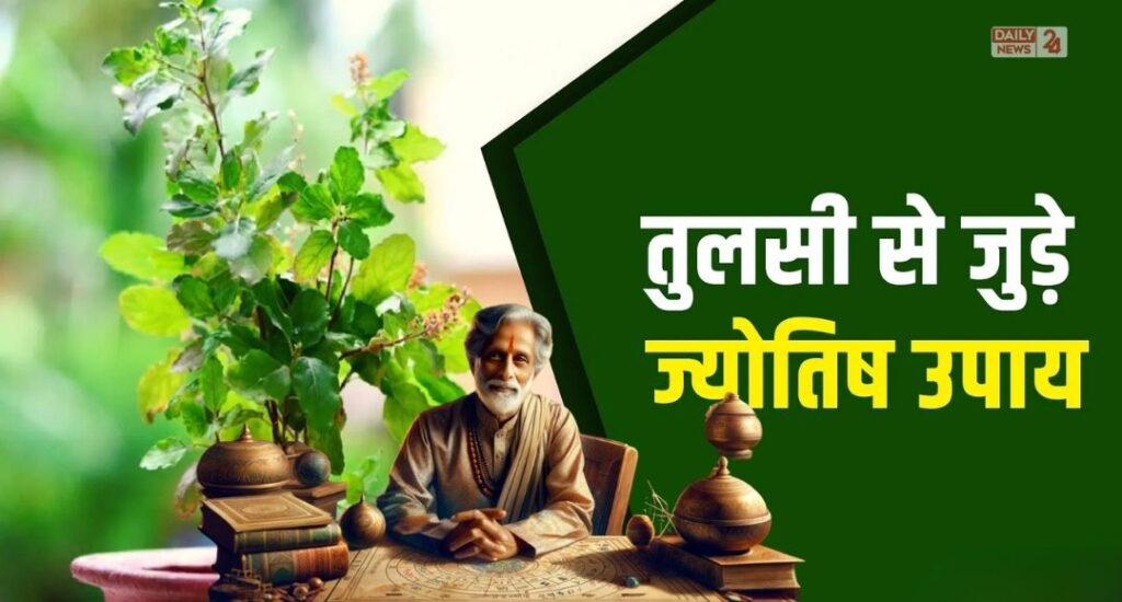 Tulsi Plant