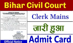 Clerk Mains Admit Card 2025