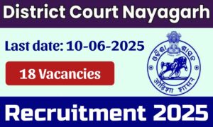 District Court Nayagarh Recruitment 2025