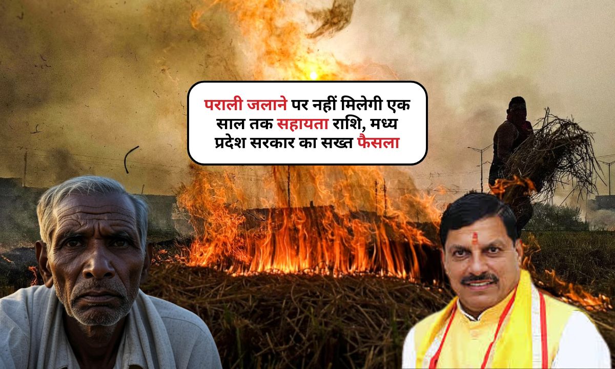 CM Kisan Nidhi
