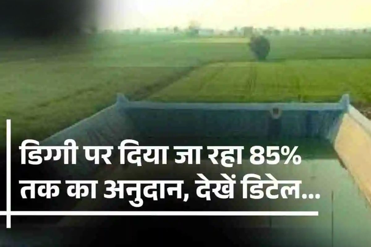 Diggy Subsidy Scheme