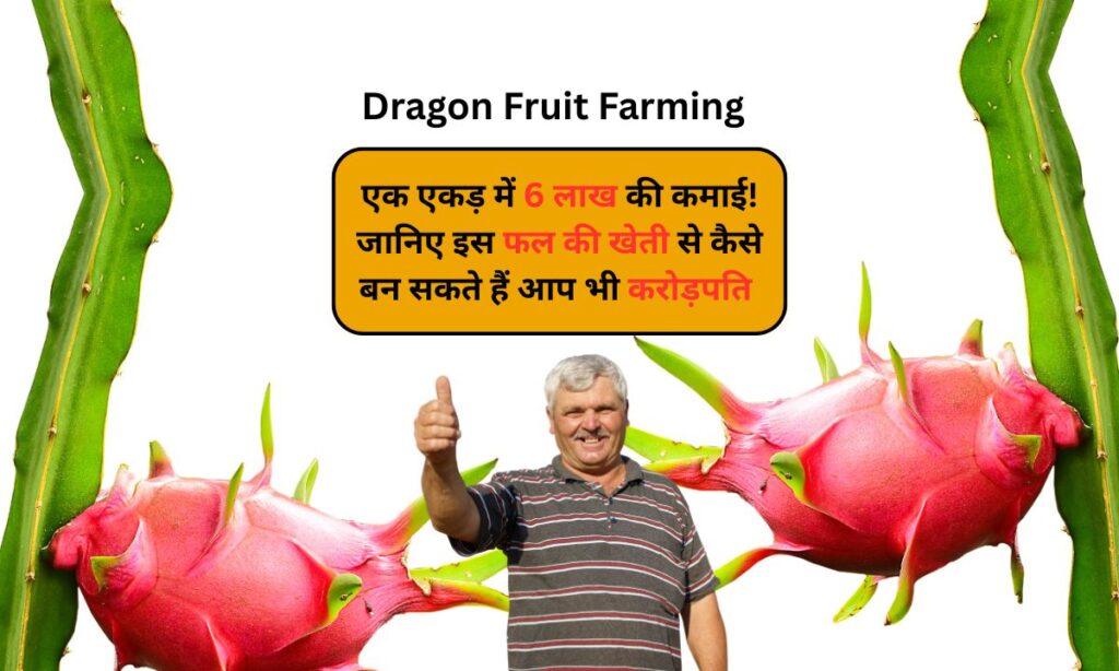 Dragon fruit farming