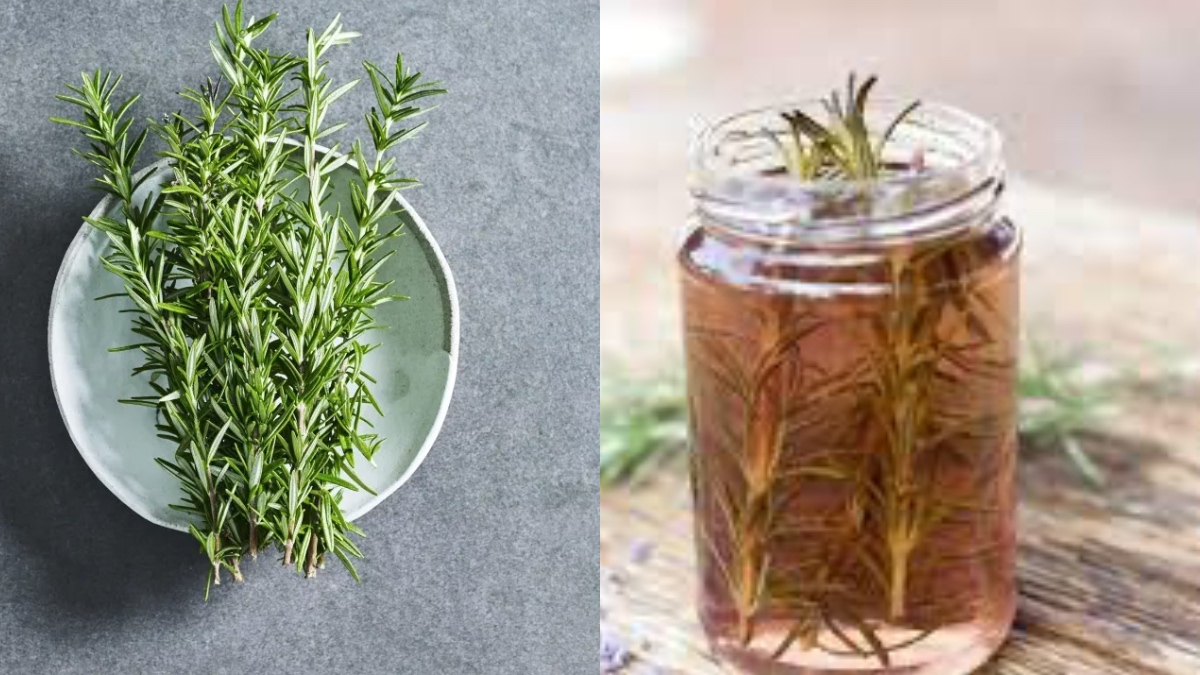 Rosemary Water For Hair