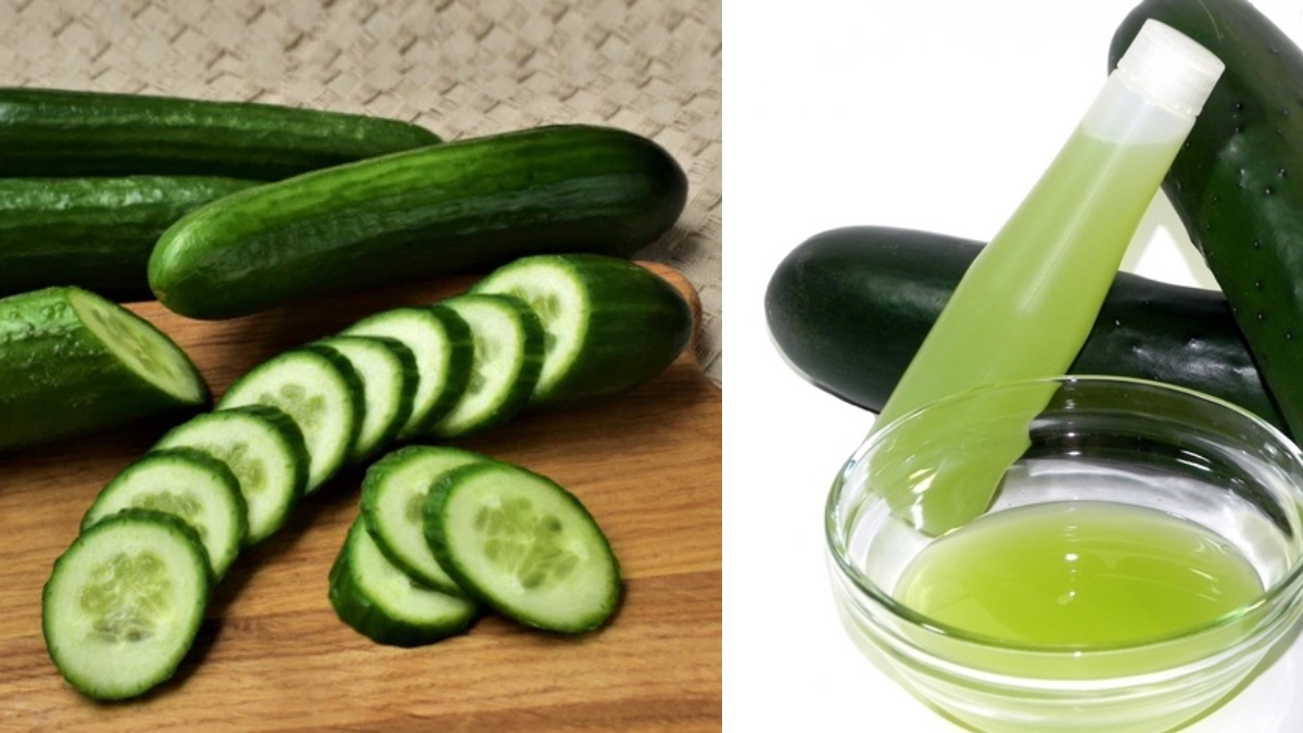 Cucumber Tonar