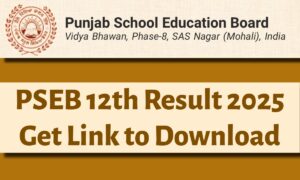 PSEB 12th Result