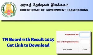 TN Board 11th Result