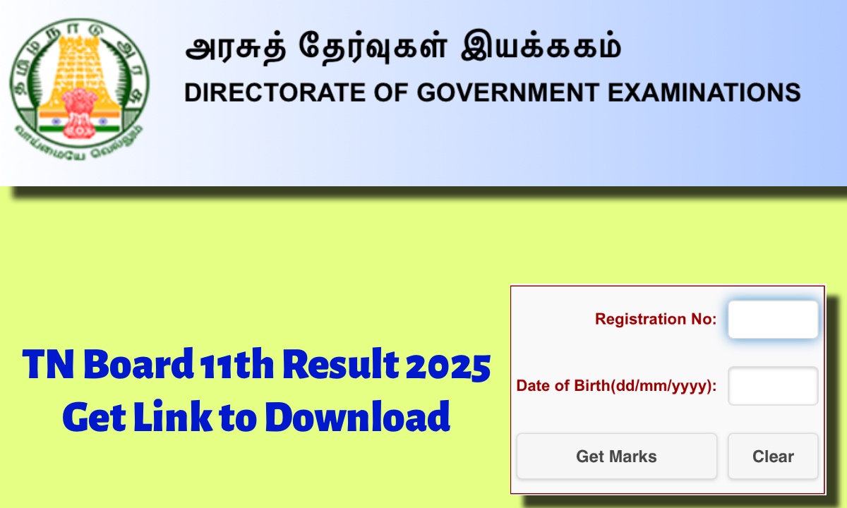TN Board 11th Result