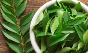 Curry Leaves For Hair