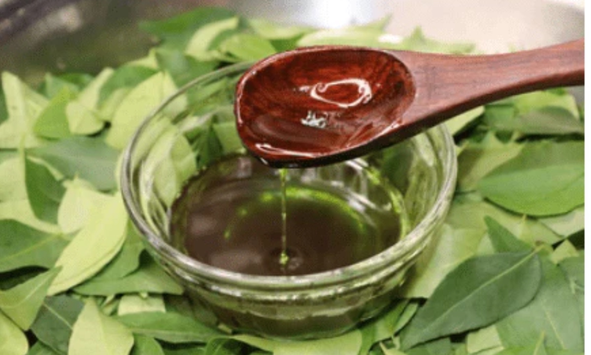 Curry Leaves Uses