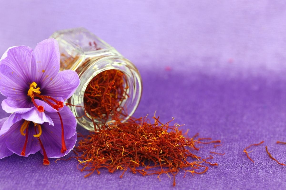 Kesar Ki Kheti