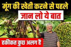 Mung Ki Kheti