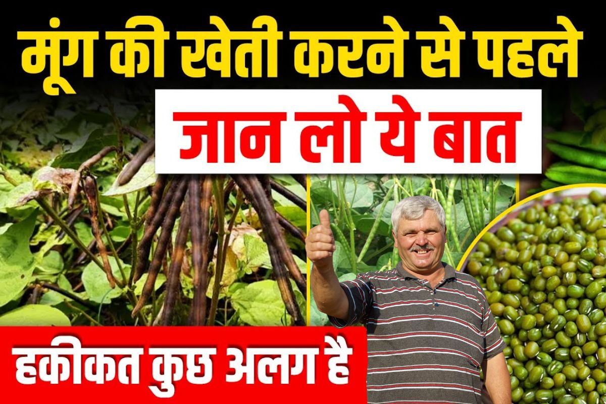 Mung Ki Kheti
