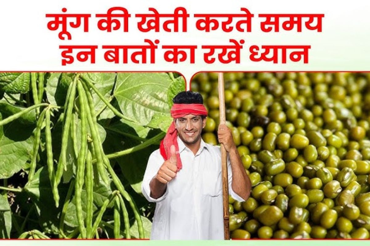 Mung Ki Kheti