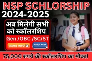 NSP Scholarship