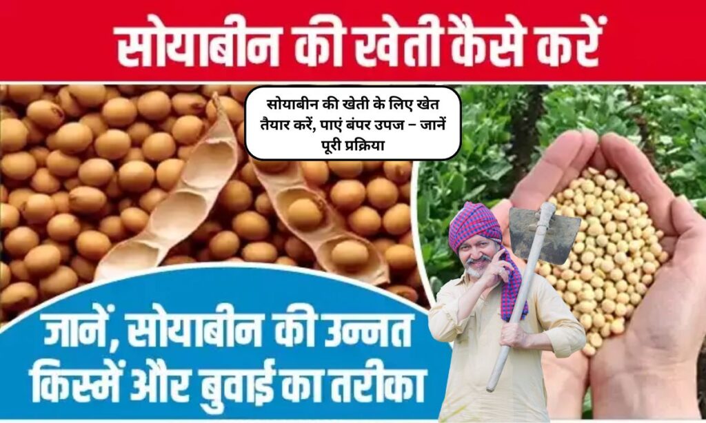 Soybean Farming